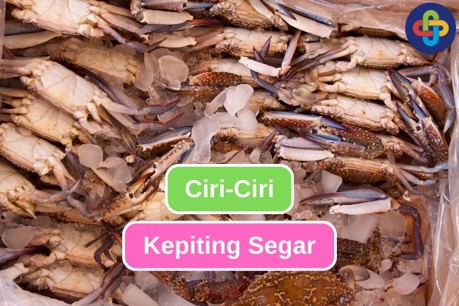 9 Cara Mengenali Tanda-Tanda Kepiting Segar